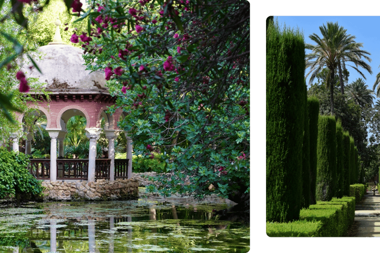 Naturaleza