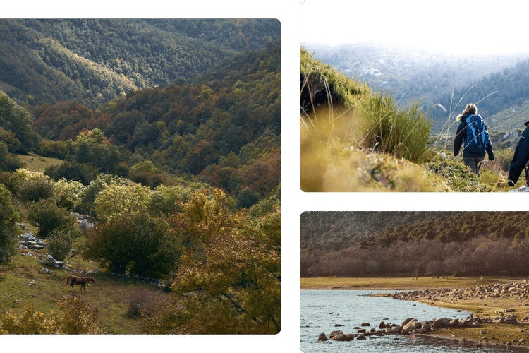 Naturaleza