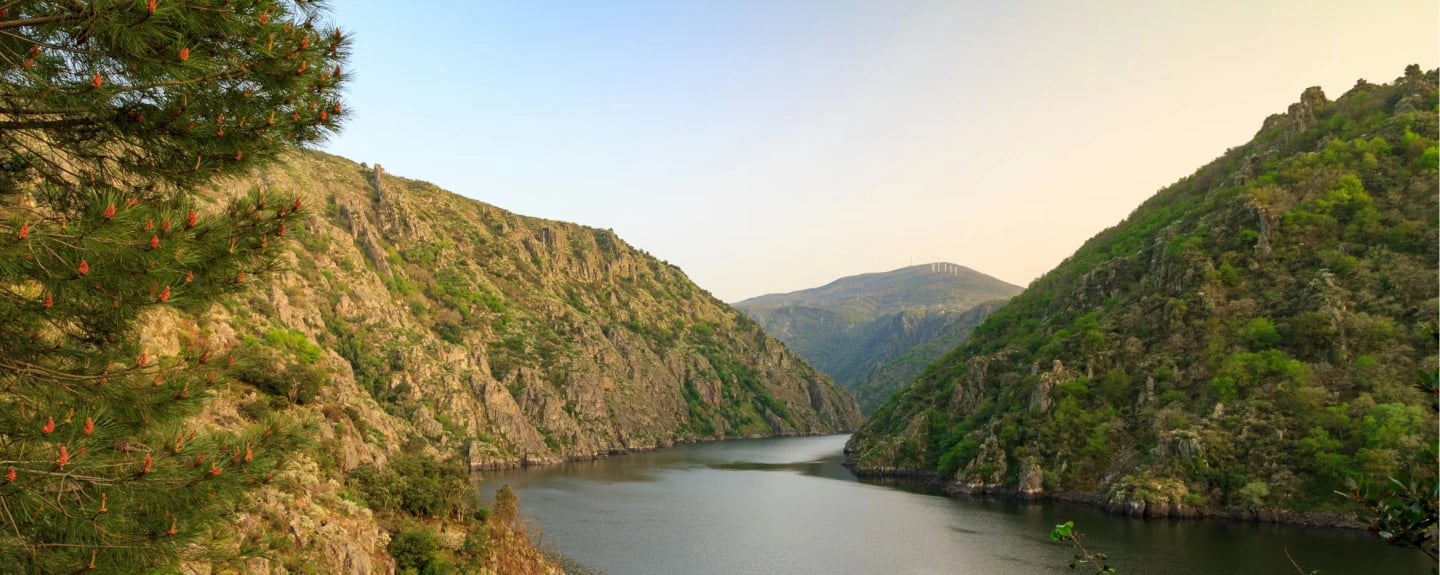 Residencial Carpe Diem