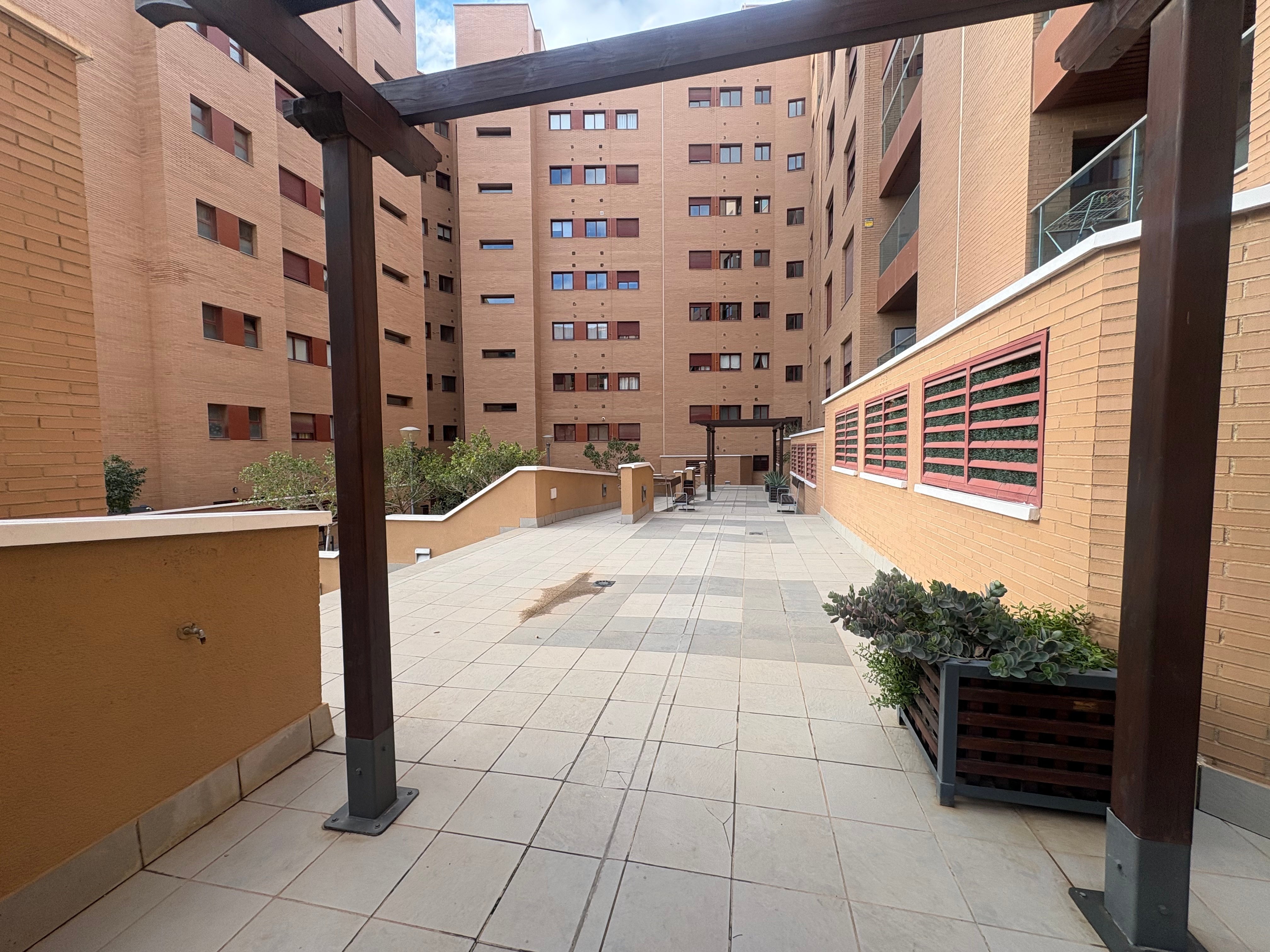 Piso en venta en avenida Calle Médico Francisco Pérez Company