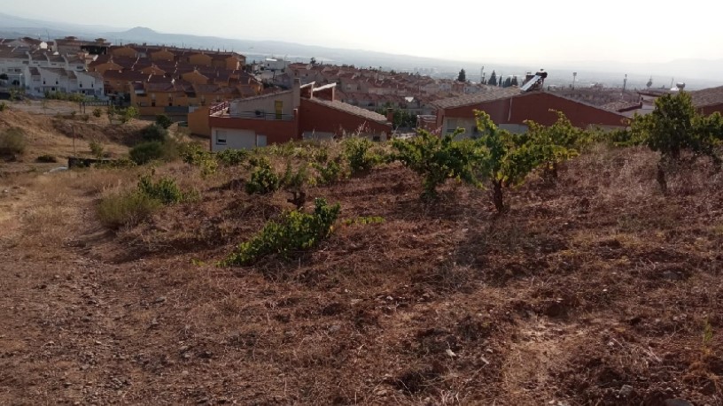 Terreno urbanizable en venta en sect Sur Poligono 3 Parcela 154