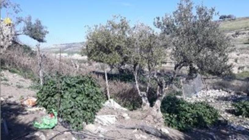 Terreno en venta en calle Santiago