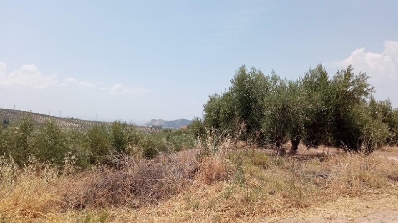 Terreno en venta en calle Miguel Hernandez S/n, Parcela P11, Ue Sau-1
