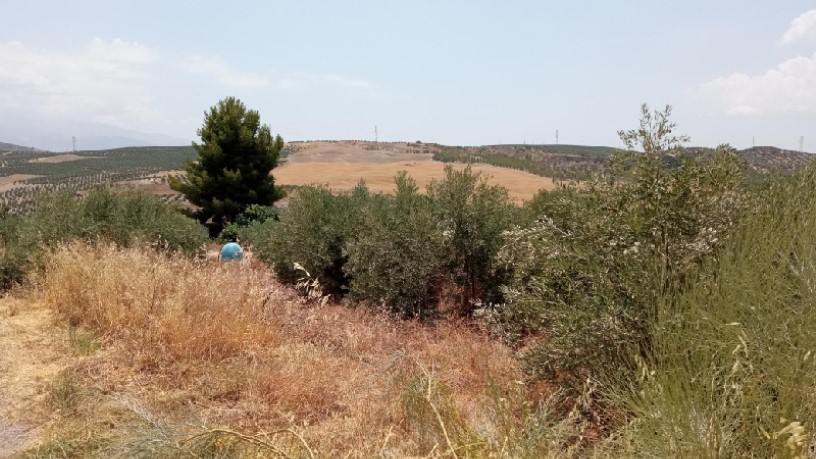 Terreno en venta en calle Miguel Hernandez S/n, Parcela P11, Ue Sau-1