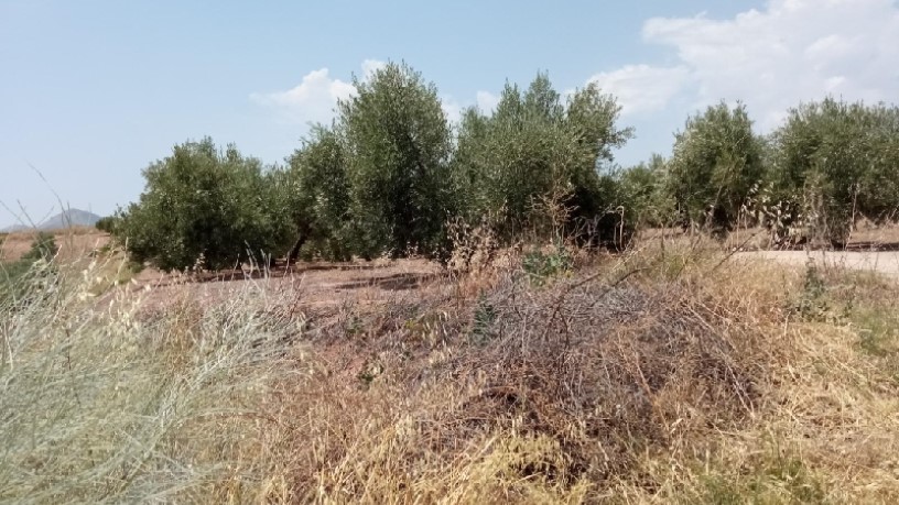 Terreno en venta en calle Miguel Hernandez S/n, Parcela P11, Ue Sau-1