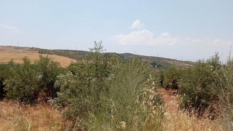 Terreno en venta en calle Miguel Hernandez S/n, Parcela P11, Ue Sau-1