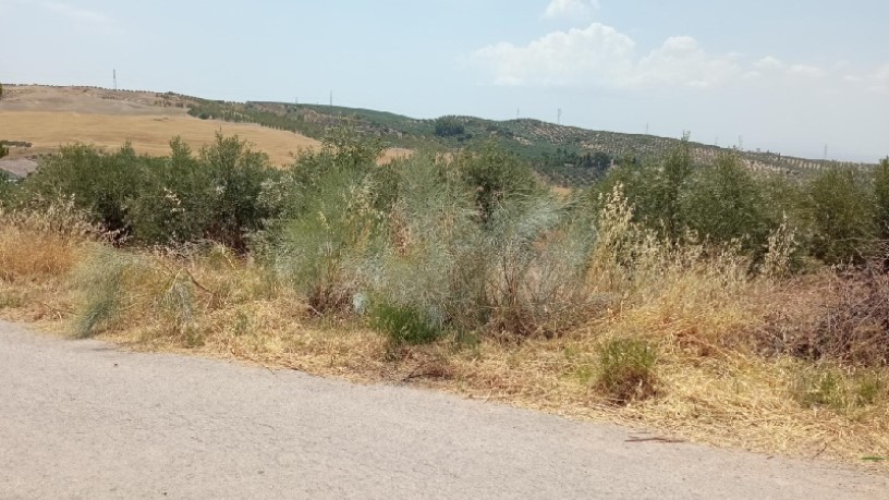 Terreno en venta en calle Miguel Hernandez S/n, Parcela P11, Ue Sau-1
