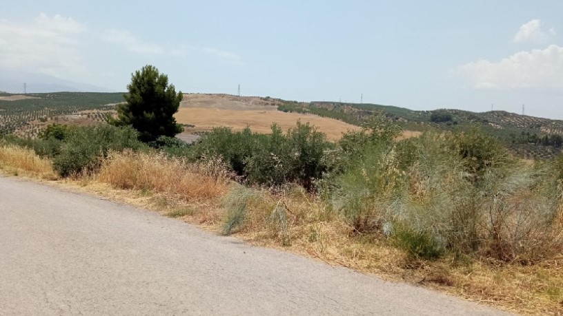 Terreno en venta en calle Miguel Hernandez S/n, Parcela P11, Ue Sau-1