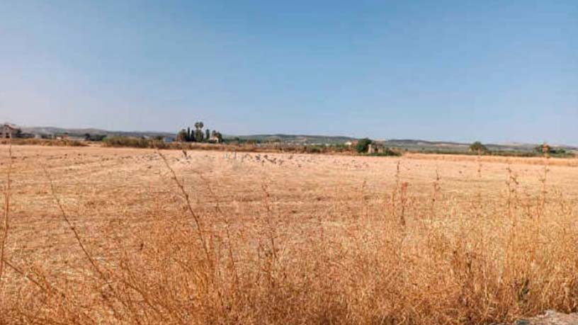 Developable land for sale in avda America 6135
