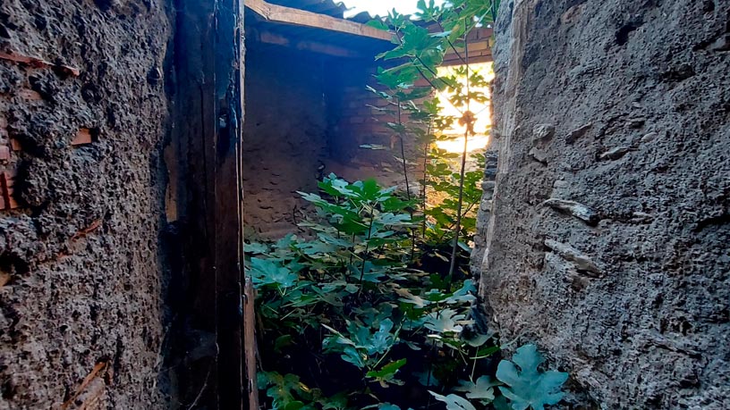 Casa en venta en calle 01 Pelaez