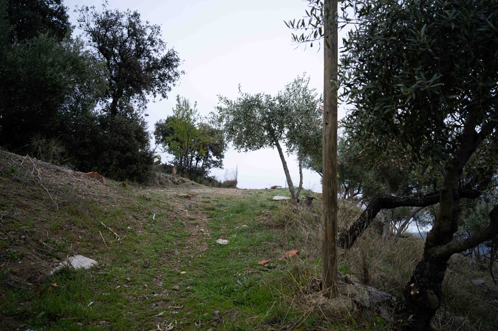 Rustic property for sale in otros Paraje Ermita - Mecina Bombarón 