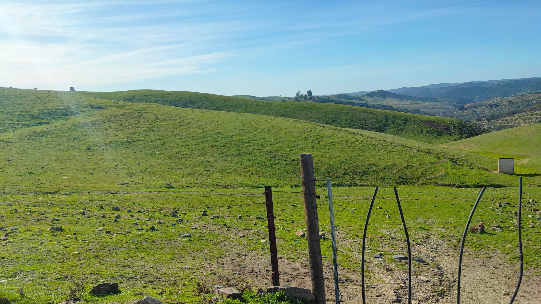 Propriété rustique à vendre à calle De los Bobinos