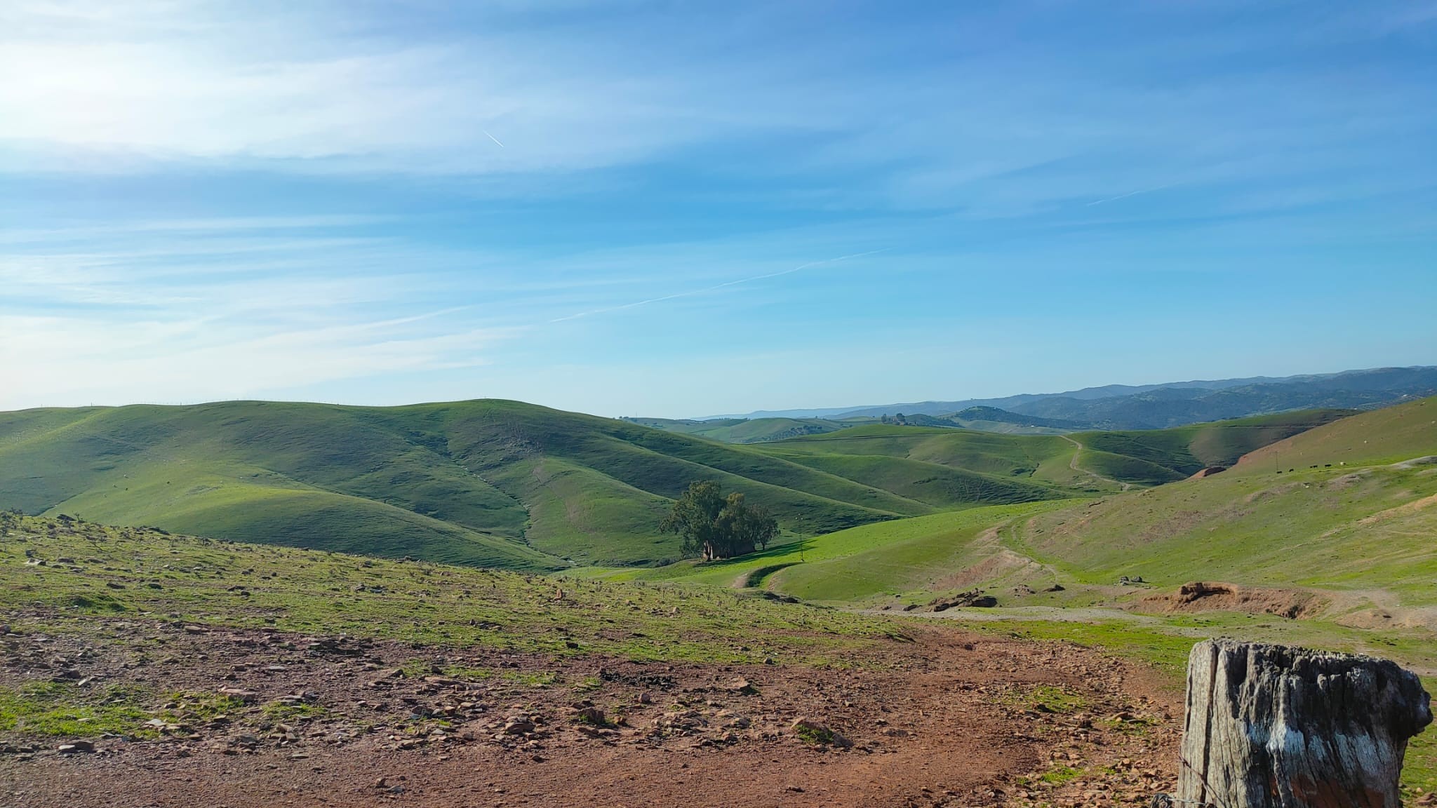 Propriété rustique à vendre à calle De los Bobinos