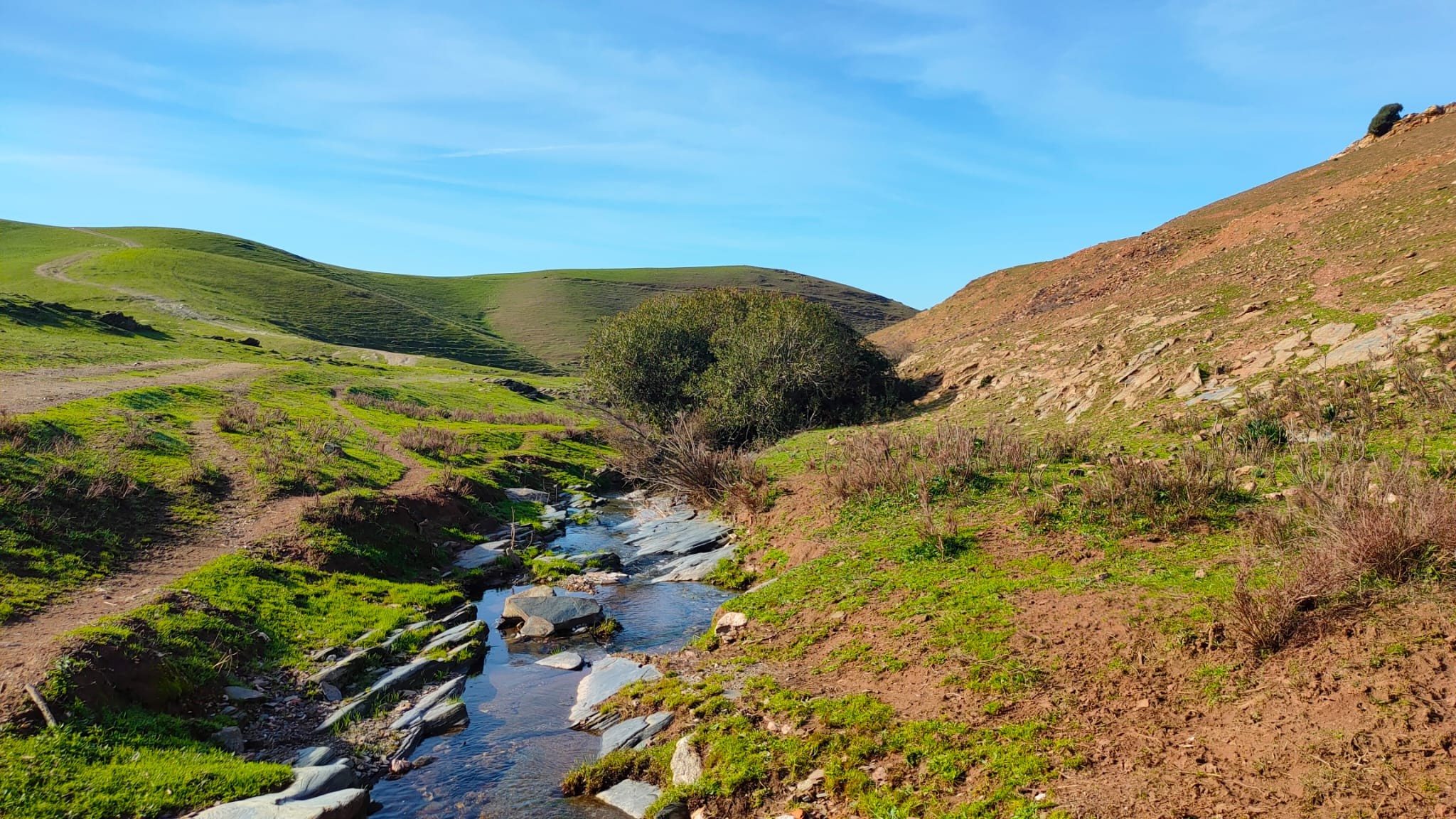 Propriété rustique à vendre à calle De los Bobinos