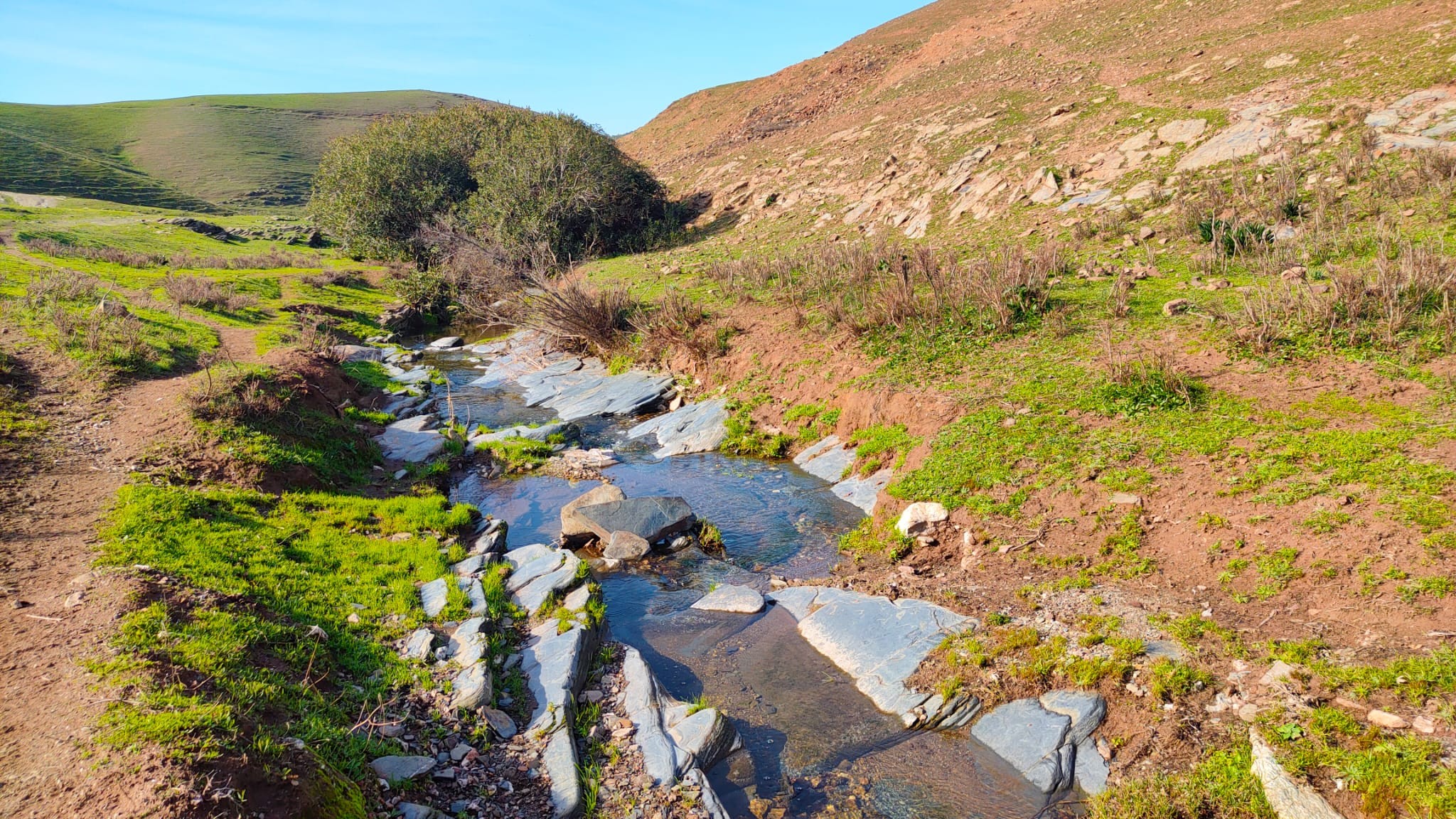 Propriété rustique à vendre à calle De los Bobinos
