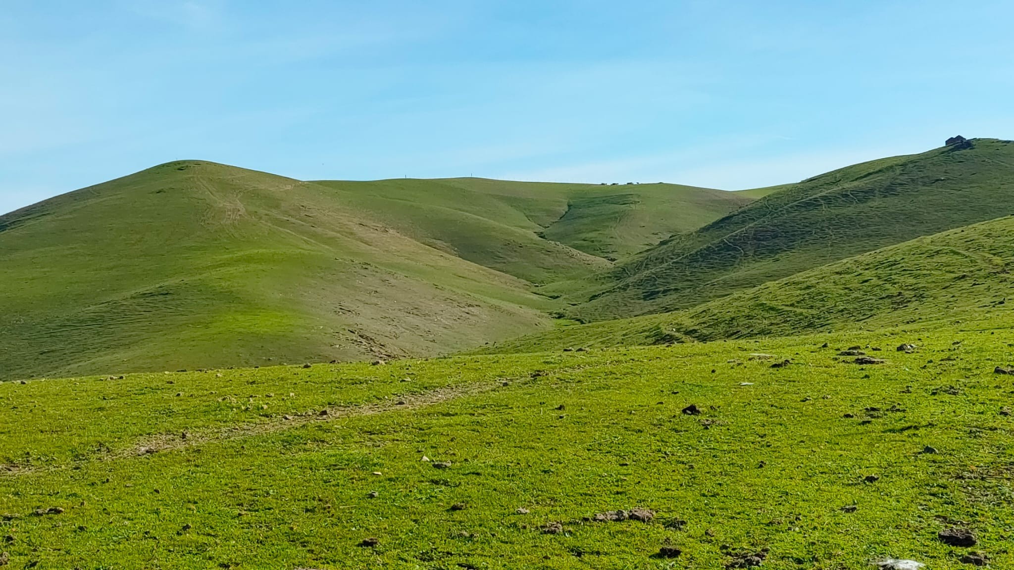 Propriété rustique à vendre à calle De los Bobinos