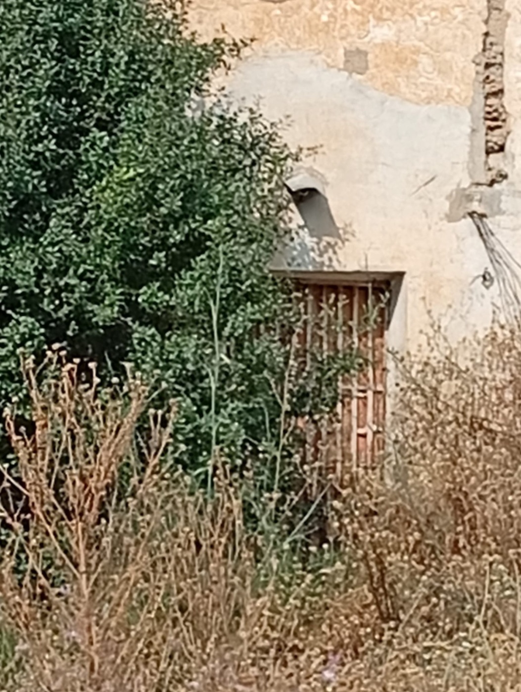 Finca rústica en venta en ptda Arroyos de Coche y Barranco del Sol