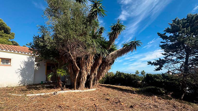  Maison mitoyenne à vendre à urb Hacienda Guadalupeparcela U15-17