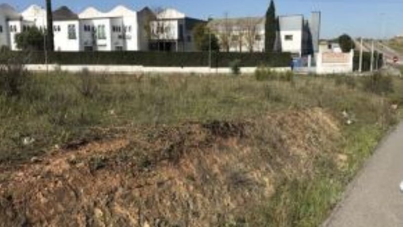 Terreno urbanizable en venta en cmno Cuchipanda Ue 60 Pagos Cuesta S.antonio