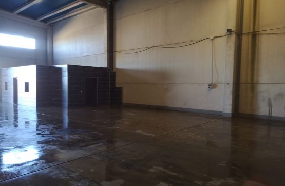 Industrial unit for sale in calle Suecia