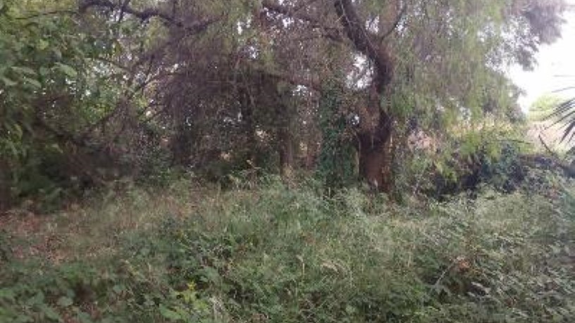 Ground for sale in sect Sr-15 1e y 2e, S/n
