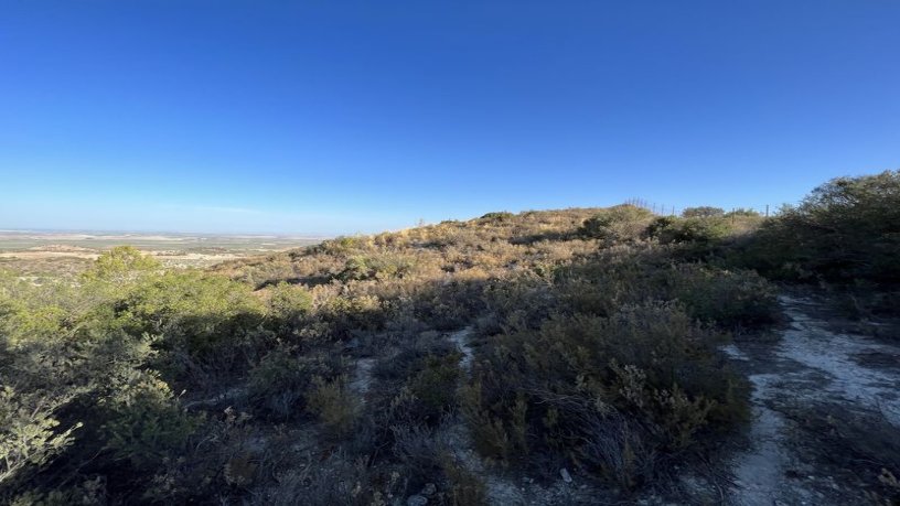 Finca rústica en venta en  San Antonio O Guardarropa Pol 115.par 8,9 y 15