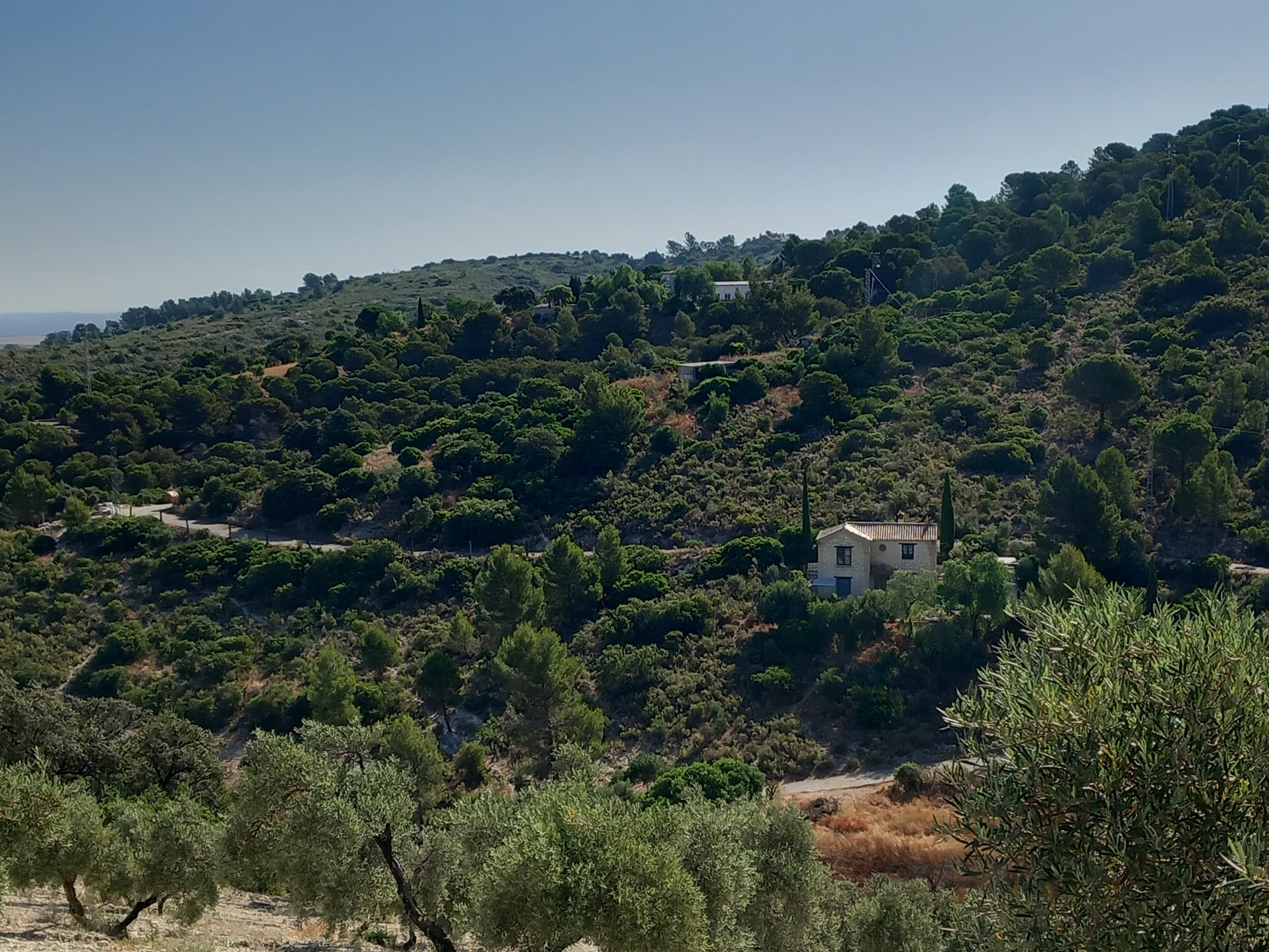 Finca rústica en venta en  San Antonio O Guardarropa Pol 115.par 8,9 y 15