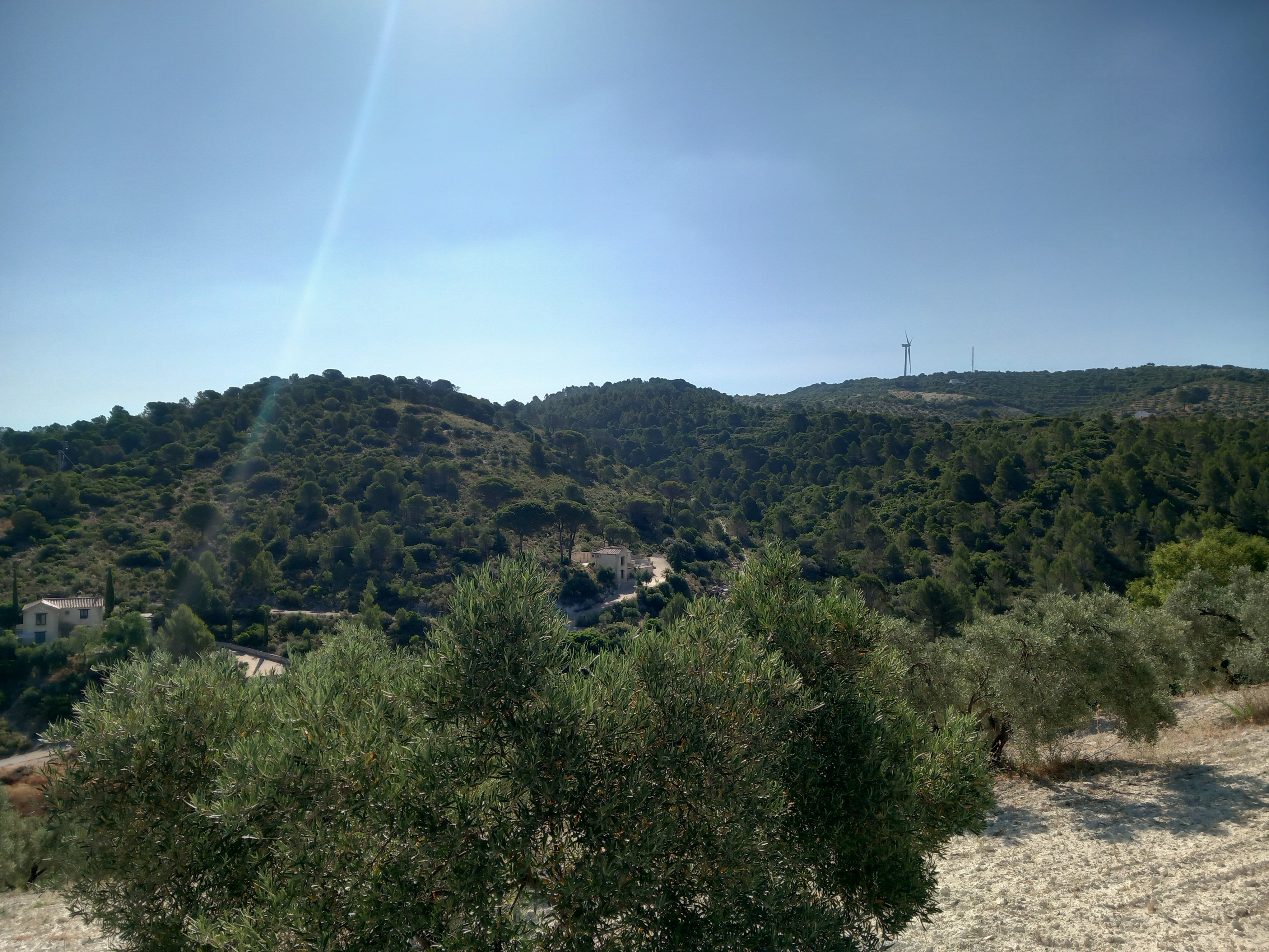 Finca rústica en venta en  San Antonio O Guardarropa Pol 115.par 8,9 y 15