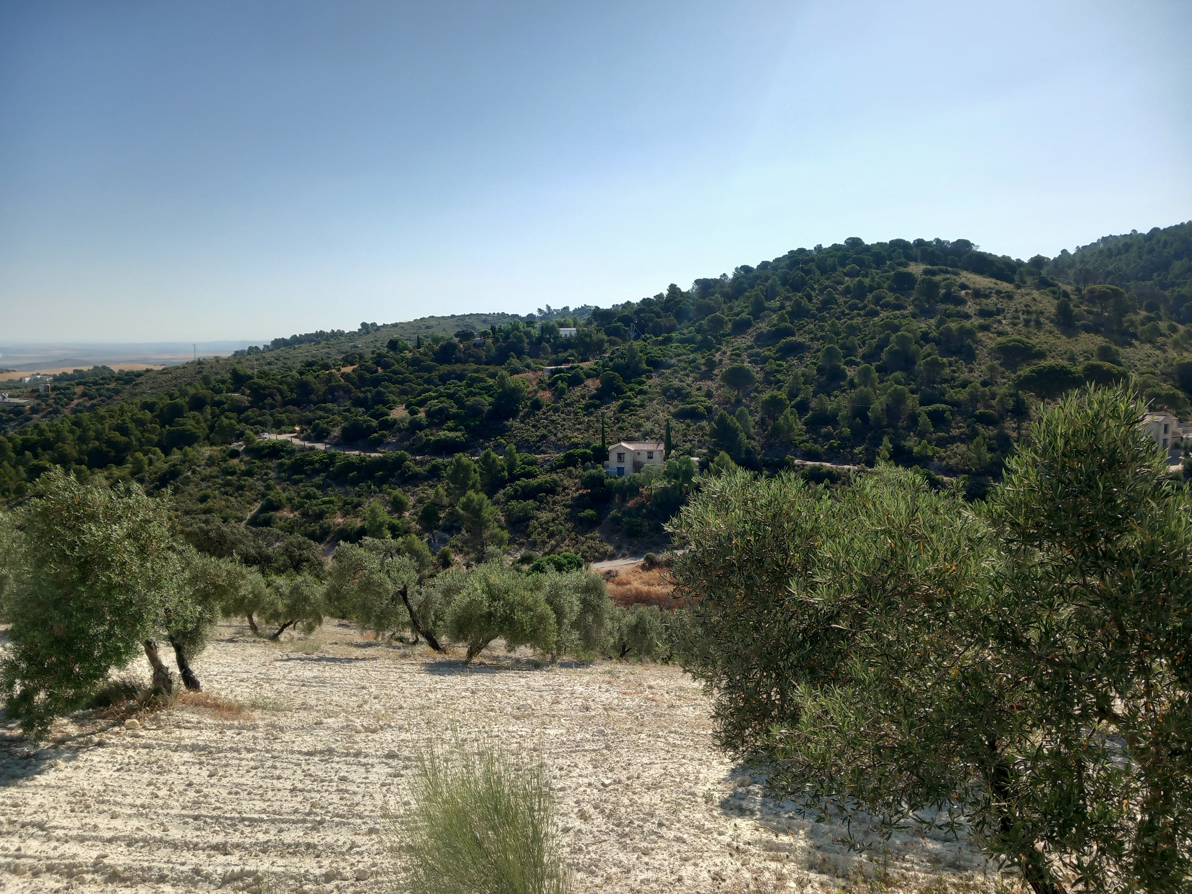 Finca rústica en venta en  San Antonio O Guardarropa Pol 115.par 8,9 y 15