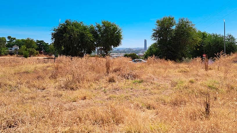 Terreno urbanizable en venta en plaza Pp-1 Caño Ronco Alto