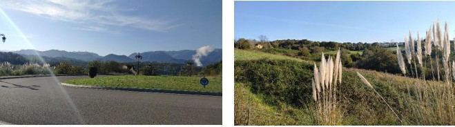Terrain aménageable à vendre à finca Pieza de Negrillo