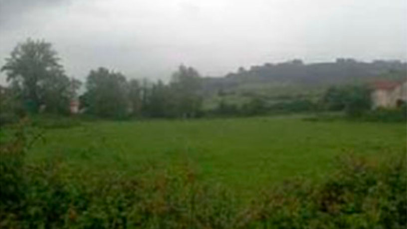 Terrain aménageable à vendre à cmno Pumarada