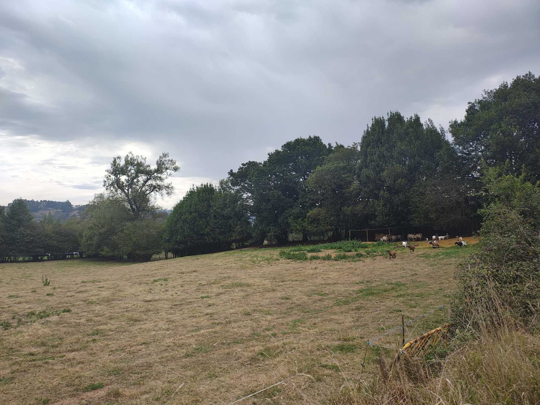 Finca rústica en venta en lugo Lugo de Llanera Llanera España