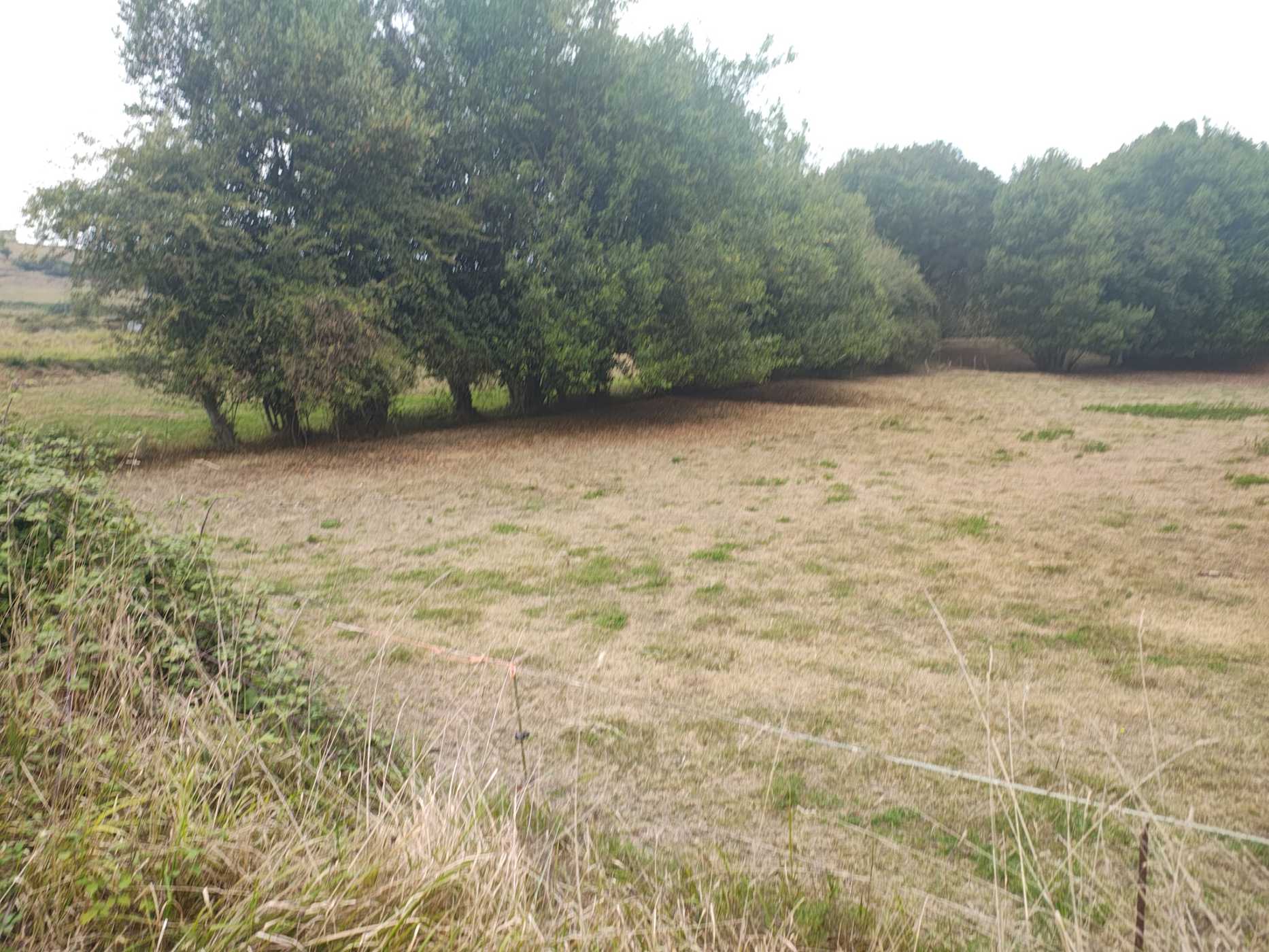 Finca rústica en venta en lugo Lugo de Llanera Llanera España