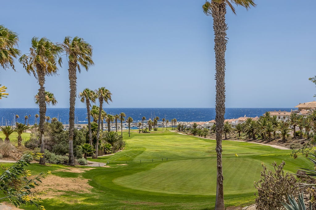 Flat for sale in calle El Cardon