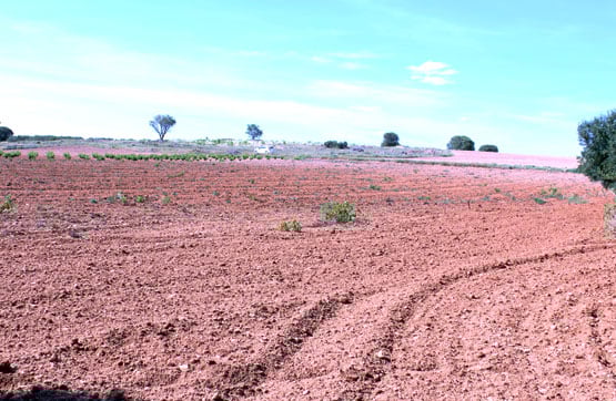 Terreno en venta en lugar El Tolillo