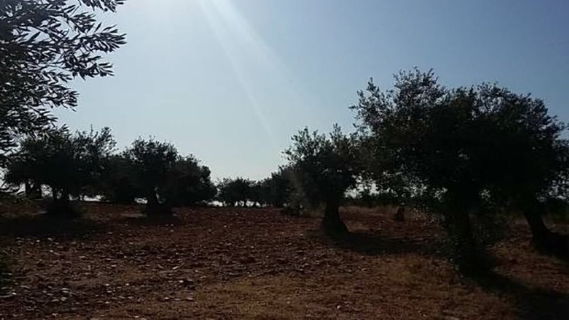 Terreno urbanizable en venta en polig R-5 Cañadilla, Poligono 1, Parcela