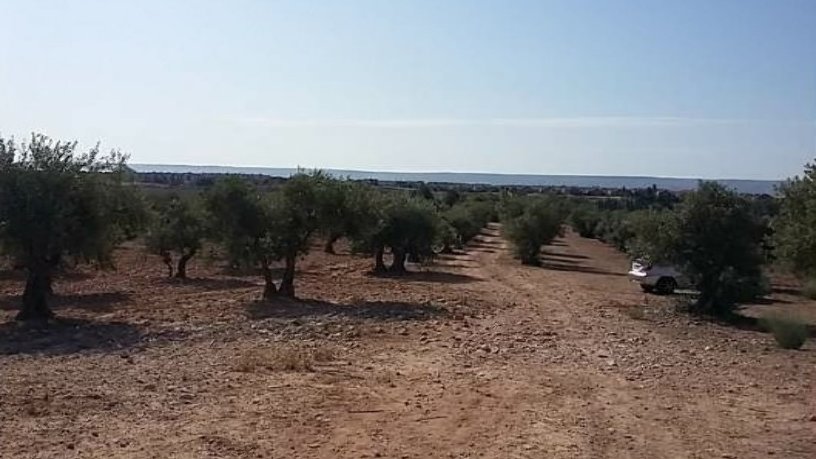 Terreno urbanizable en venta en polig R-5 Cañadilla, Poligono 1, Parcela