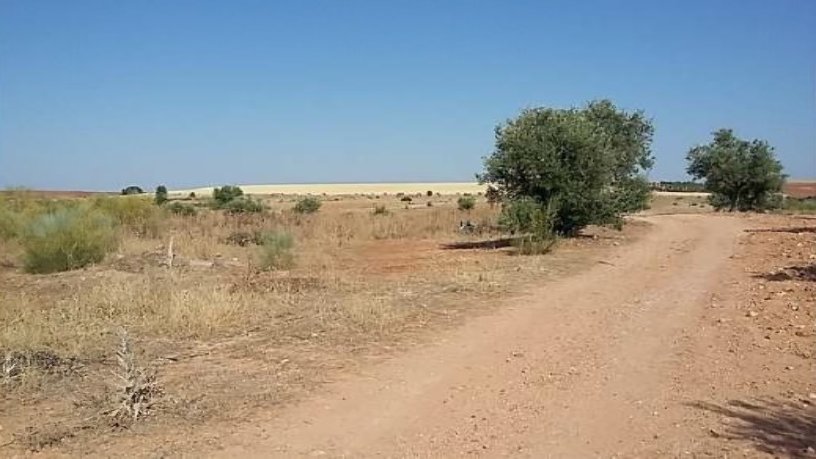 Terreno urbanizable en venta en polig R-5 Cañadilla, Poligono 1, Parcela