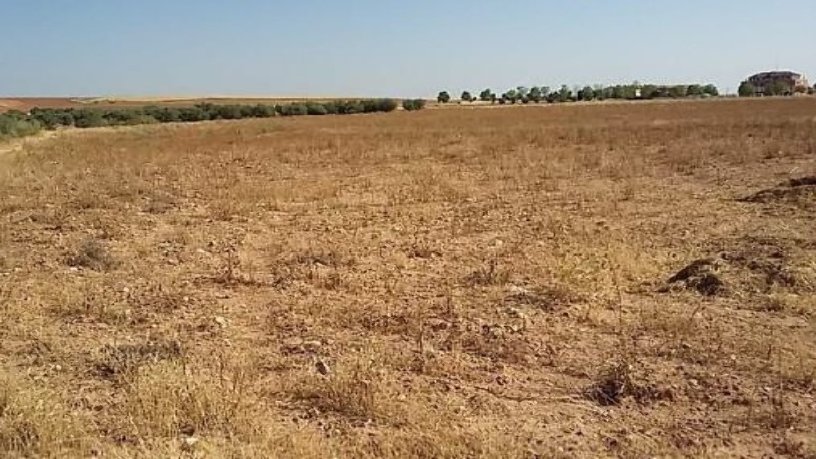 Terreno urbanizable en venta en polig R-5 Cañadilla, Poligono 1, Parcela