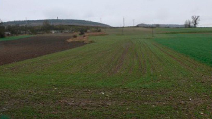 Terreno urbanizable en venta en calle Los Castaños (villat)