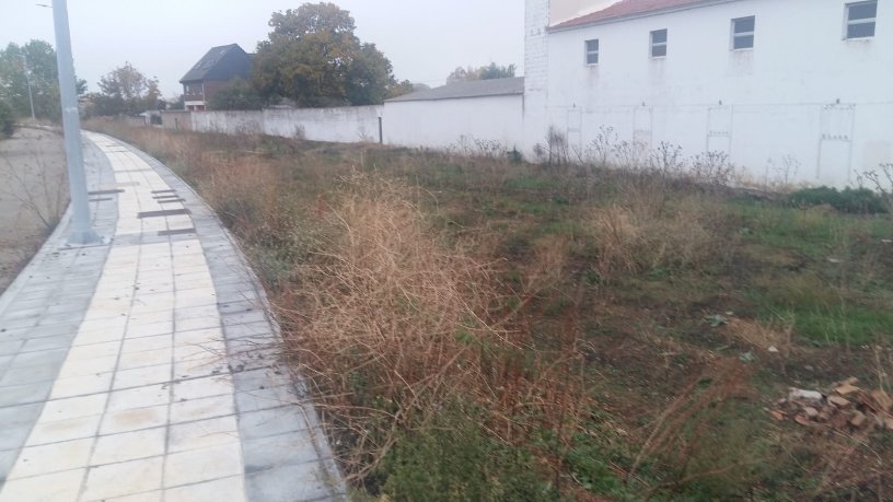 Terreno urbano en venta en calle S Pedro Castro