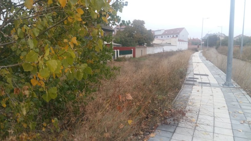 Terreno urbano en venta en calle S Pedro Castro