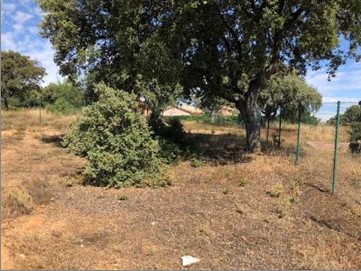 Terreno en venta en calle Drago