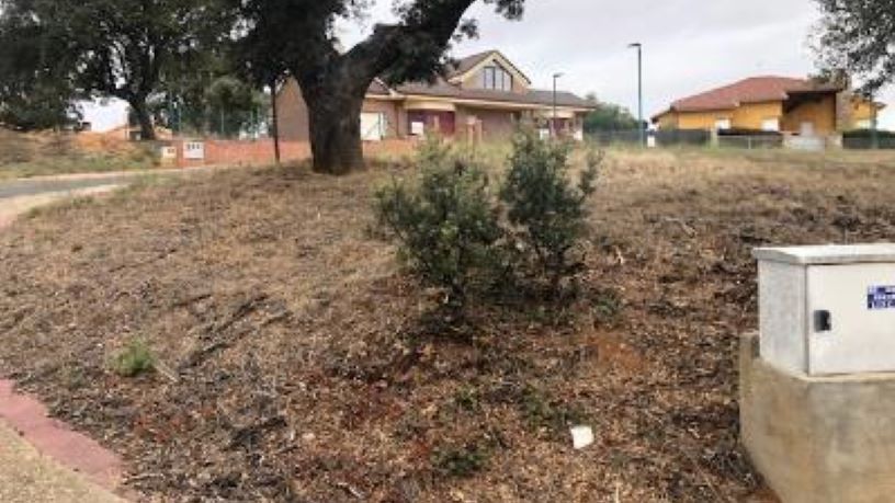 Terreno en venta en calle Parcela 180, C/ Higuera