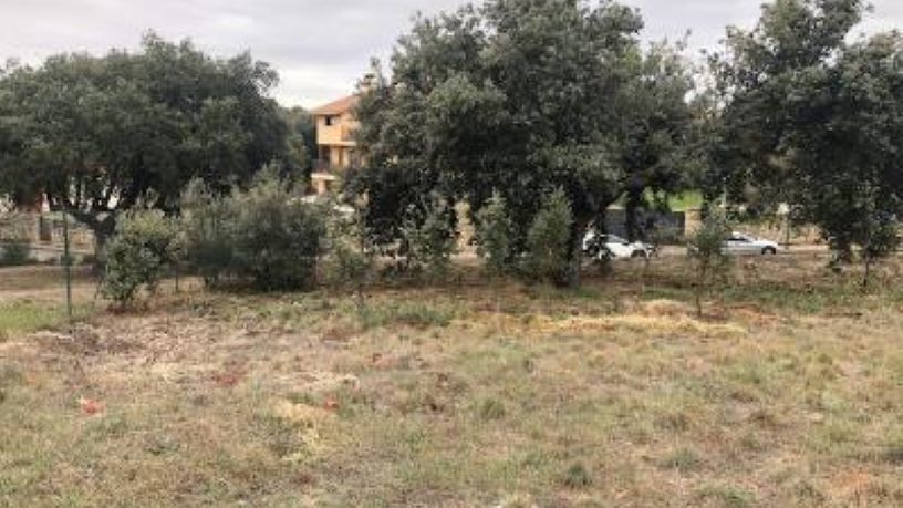 Terreno en venta en calle Parcela 180, C/ Higuera