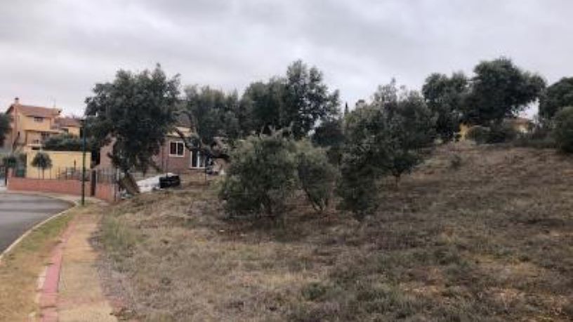 Terreno en venta en calle Parcela 198, C/ Guindo
