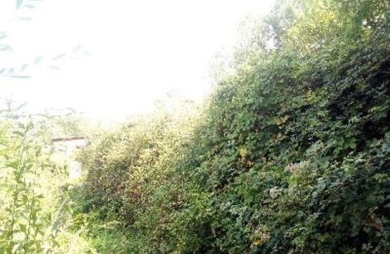 Terreno en venta en calle Sau 5,nº11a,suelo Pl 1/179,finca 64 Sector Sau 4-5