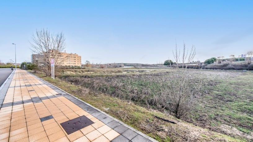 Developable land for sale in calle Manuel del Rio Nº 56e