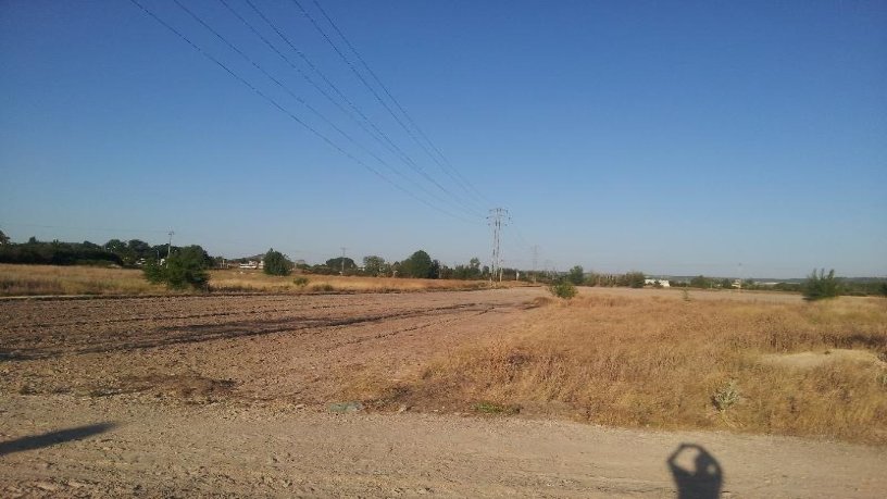 Terrain aménageable de 3364m² dans rue Pp Los Santosii-pilarica, Valladolid